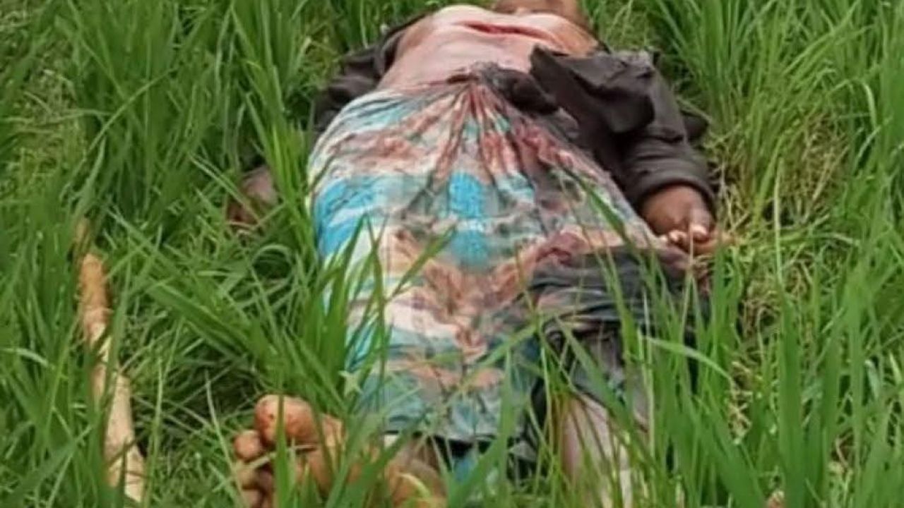 কোটচাঁদপুরে চাচা-চাচাতো ভাইয়ের দা-এর কোপে মানসিক ভারসাম্যহীন ব্যক্তি নিহত।