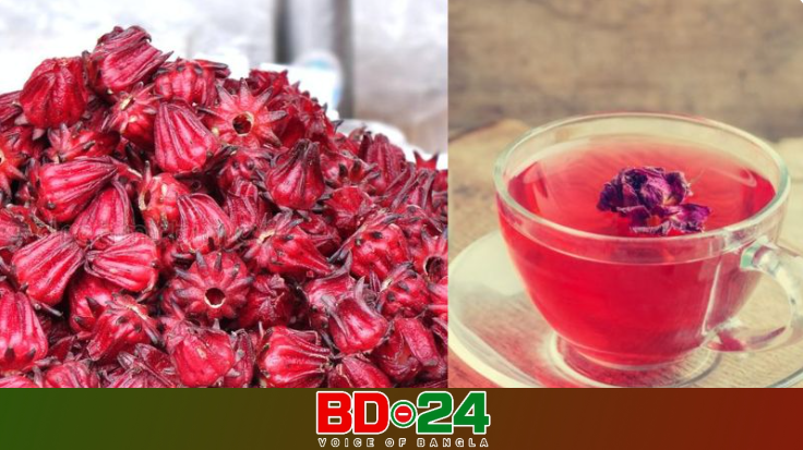 রোজেলা চায়ের স্বাস্থ্যগুণ ও সতর্কতা: যা আপনার জানা প্রয়োজন