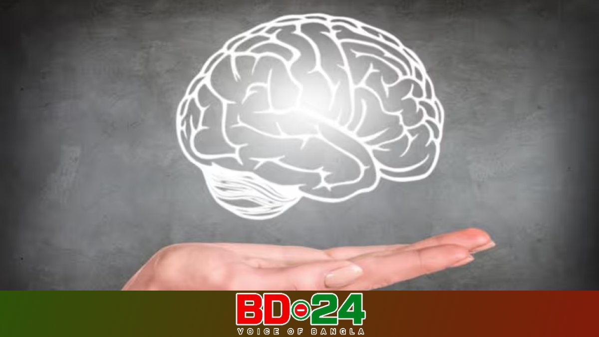 মস্তিষ্কের মারাত্মক ক্ষতি করতে পারে দৈনন্দিন ৫টি বদ অভ্যাস