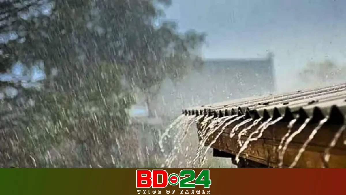 দেশের সব বিভাগেই বৃষ্টির আভাস, কমতে পারে তাপমাত্রা